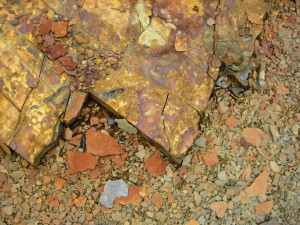 103MCC (1 of 1)