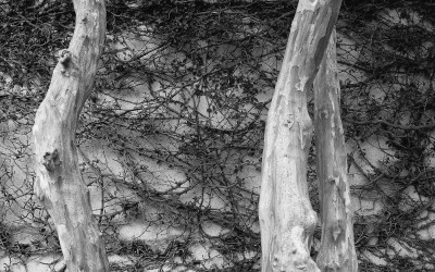 82840002BW (1 of 1)-2